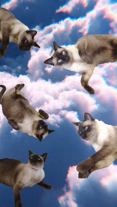 Crazy Cute Wallpaper 👻💛🌁😊