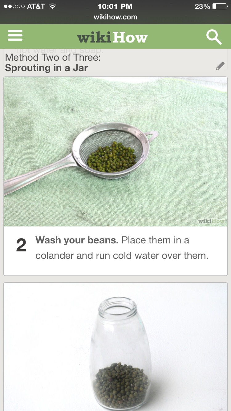 Grow Your Own Mung Sprouts- Super Easy, Super Fast, And Super Healthy! 