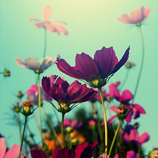 Beautiful Photography