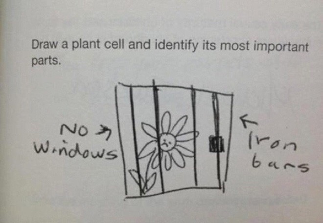 Funny Test Answers