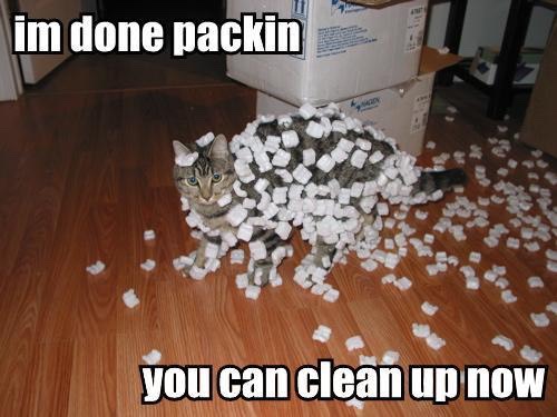 Funny Cat Pics.