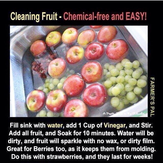 Fat Burning Foods And Other Healthy Tips 