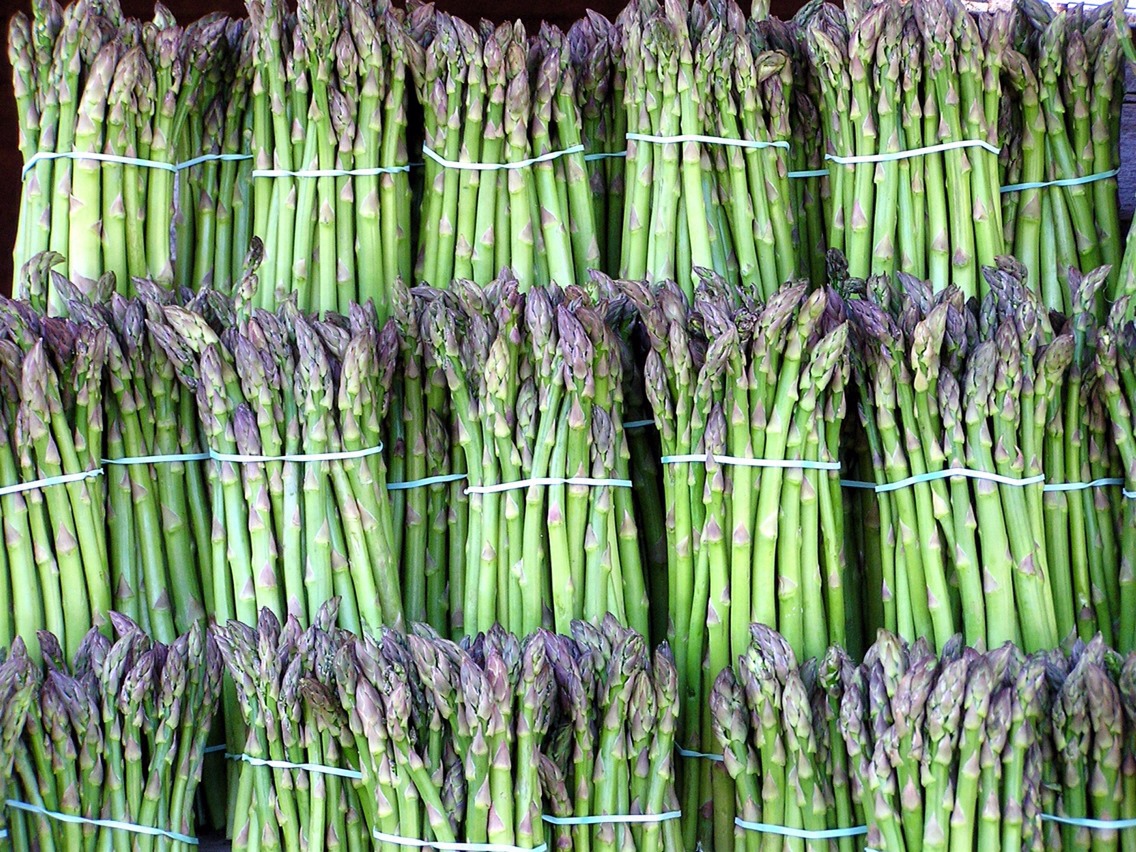 The asparagus we eat today has barely changed from its wild ancestors and thus is one of the most nutritious vegetables. There was no need to improve on perfection!  It is one more veggie best to eat steamed rather than raw. Steaming increases antioxidant availability by 30%.