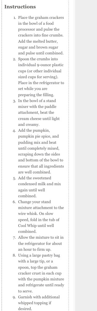 No Bake Pumpkin Cheese Cake 🎃
