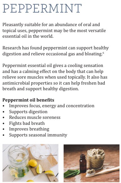 The 7 Most Powerful Essential Oils To Have In Your Home.