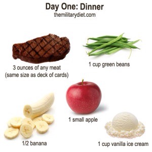 3 ounces of any type of meat
1 cup of green beans
1/2 banana
1 small apple
1 cup of vanilla ice cream