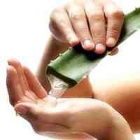 Aloe Vera juice applied twice a day can greatly help in healing of the scars of the acne. Aloe Vera juice can be found at most health stores.
