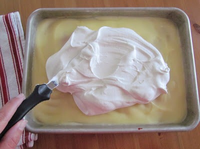 Spread it out evenly over the pudding layer.