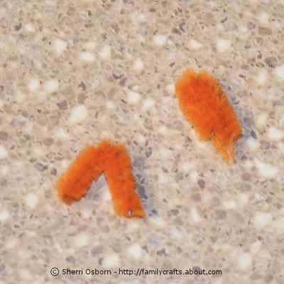 Cut two pieces of chenille stem, about 1-inch long. Fold both pieces of chenille stem in half.