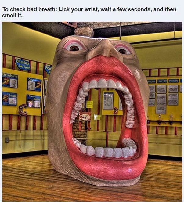 Clever Tips For Everyday Life!!!! 