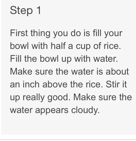 RICE WATER FOR FACE & HAIR