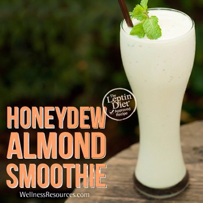 Smoothie Recipes 