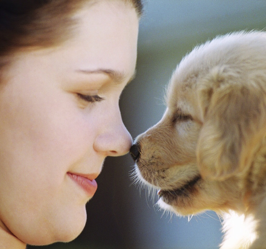 Head to your local pet store to check out the animals! Most pet stores get new animals frequently so there's usually lots of varieties to see. 