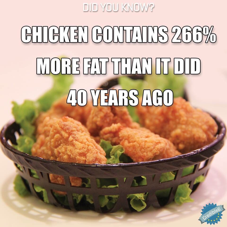 Fun Food Facts. 😊