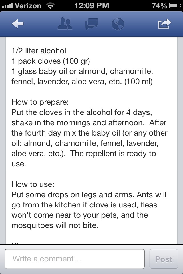 No Harsh Chemical Bug Repellant That Actually Works And Does Not Smell Nasty!!