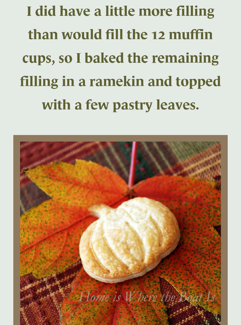 Mini Pumpkin Pies!!!