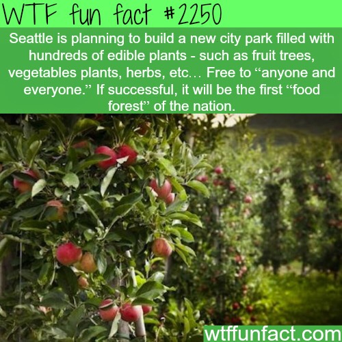 Fun Food Facts. 😊