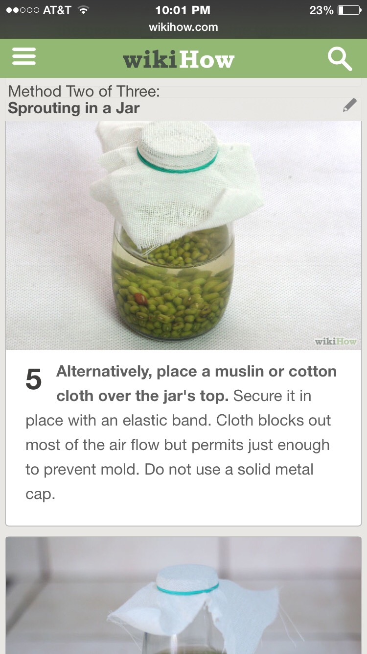 Grow Your Own Mung Sprouts- Super Easy, Super Fast, And Super Healthy! 