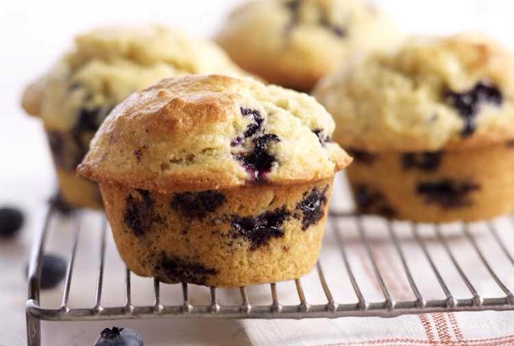 Breakfast idea #3
This is a lighter option if you're not feeling very hungry.
1 slice of ham (or any deli meat) with 1 slice of cheese (any of your choosing) and roll them like a fruit roll-up
1 blueberry muffin with a cup of coffee or whole,2%,1%,Skim,or Almond milk of your choosing
