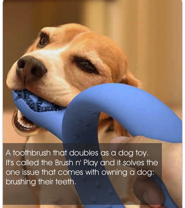 Crazy Inventions That You Want