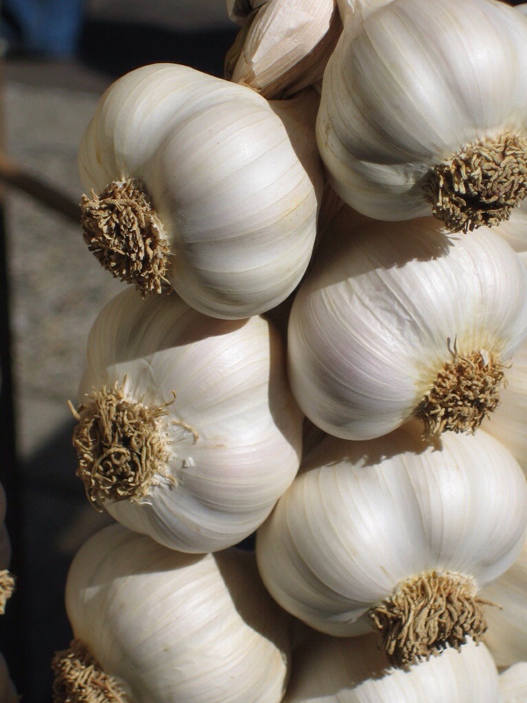 Garlic!
Allicin, sulphur, zinc and calcium all found in garlic to work as an antibiotic and clean the skin!
Crush the cloves and mix with water