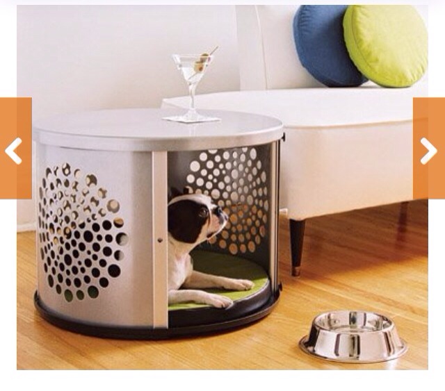 🌟 Creative Dog Bed Ideas You And Furry Friend Wld Love! 🌟