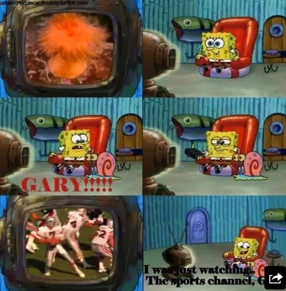 Sponge bob what did gary catch you watching?