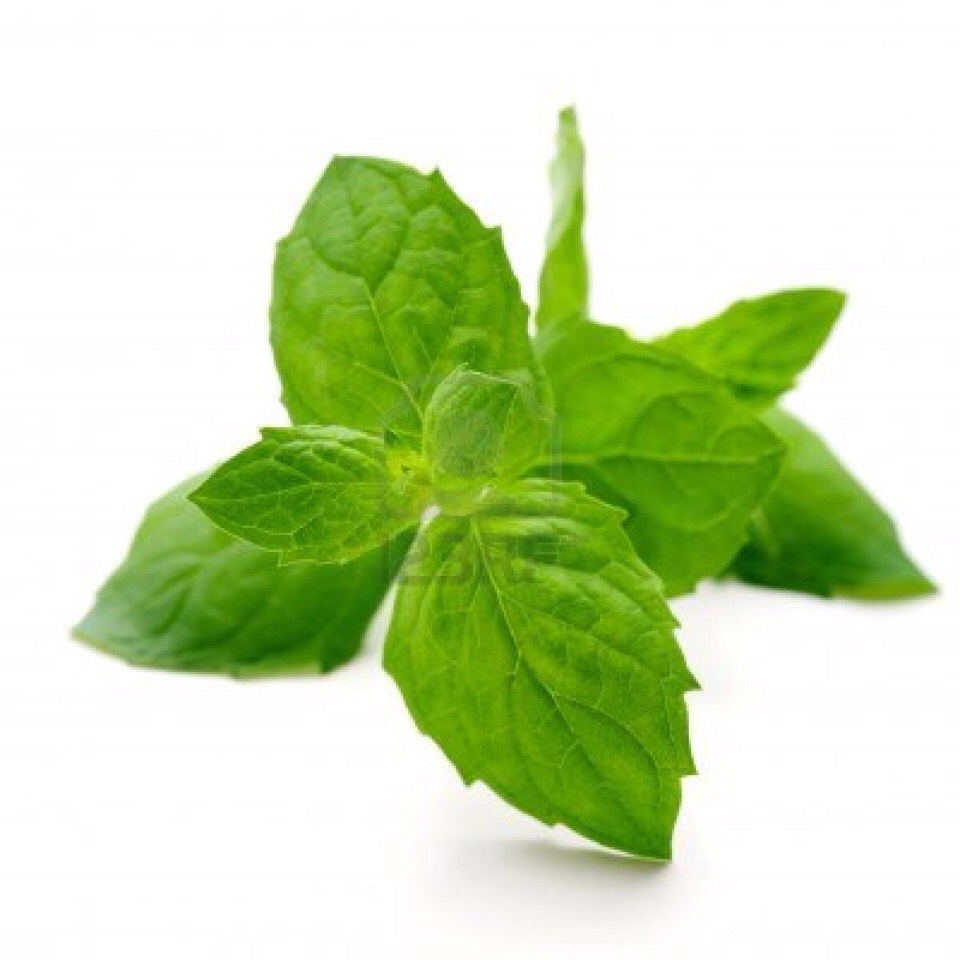 Mint is soothing to your stomach, tastes great, increases flow of digestive fluids, and serves to wake up your whole system.