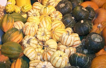 Easily scoop out squash seeds:
Scoop seeds from vegetables such as squash and pumpkin with an ice cream scoop. Because the edge of the scoop is sharp, it cuts through the fibery, gooey stuff inside the squash easier than your hand or a regular spoon.