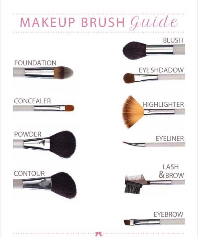 Makeup Brush Guide🎉🎊