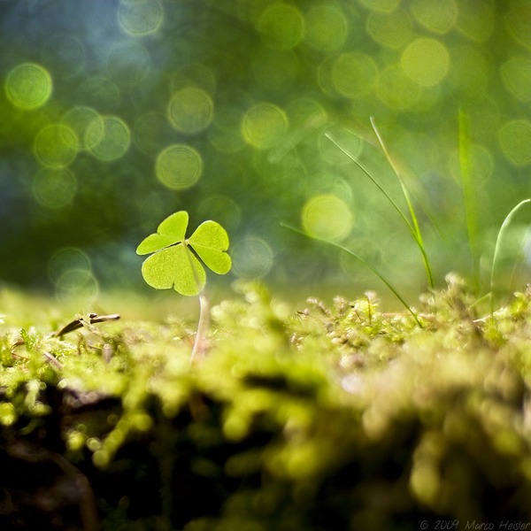 Beautiful Photography