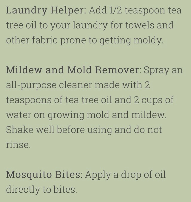 💥75 Amazing Tea Tree Oil Uses💥