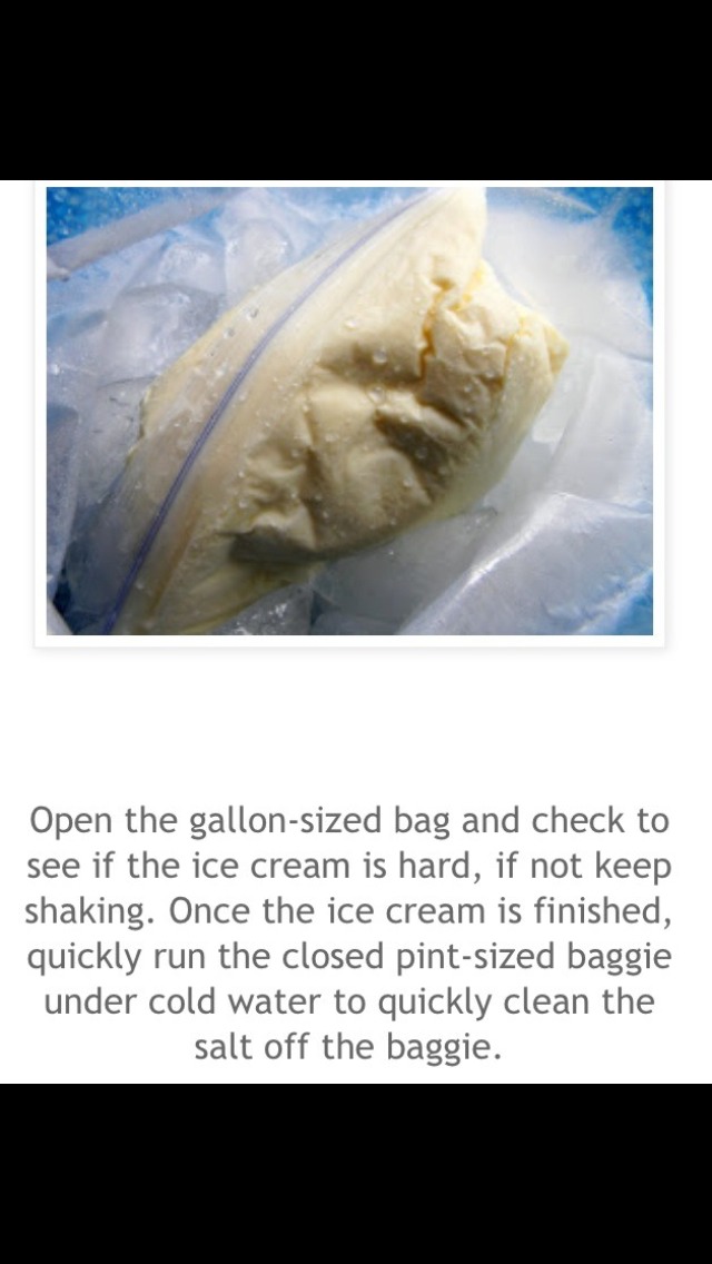 Homemade Ice cream In A Bag 🍦