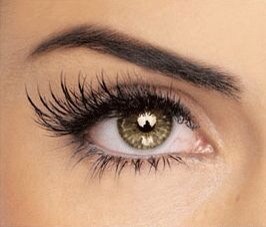 Gorgeous Natural Eye Makeup! 