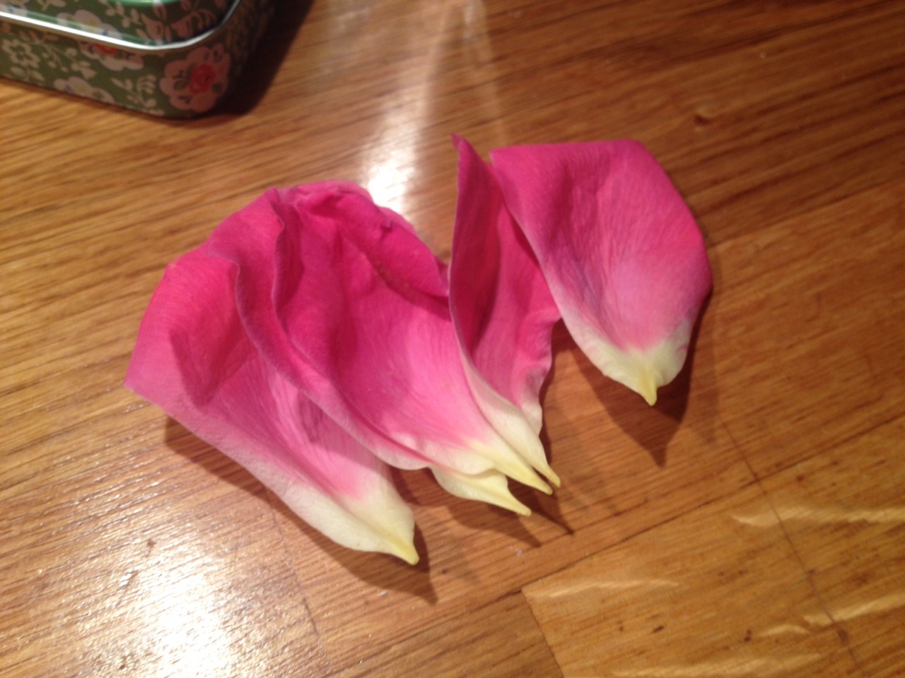 Petals from any flower of your choice 