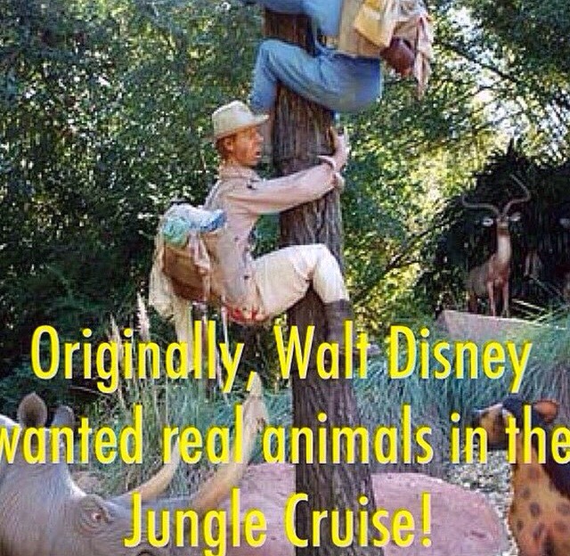 Disney Facts