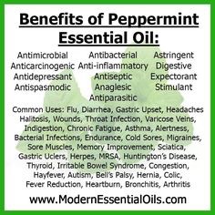 Peppermint Oil Uses: 