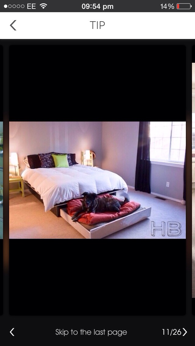 Amazing Bedroom Designs 