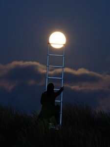 Fun Photography Ideas