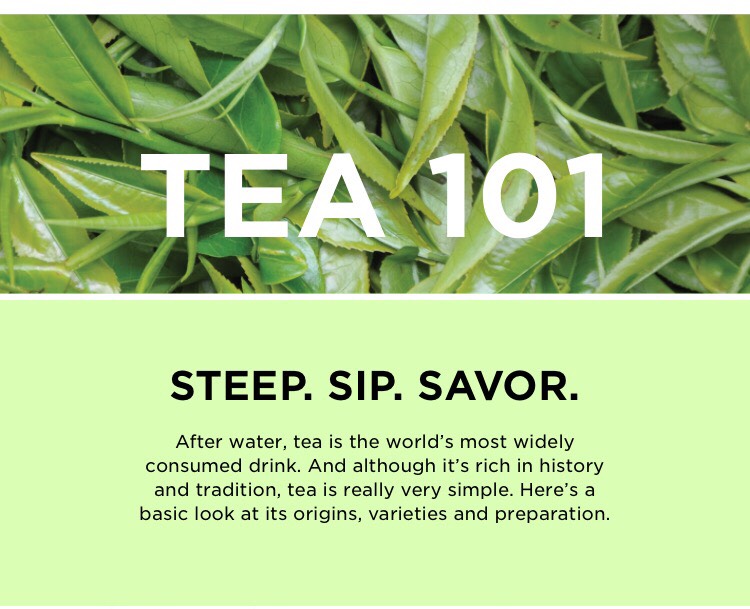 ✨Tea 101✨