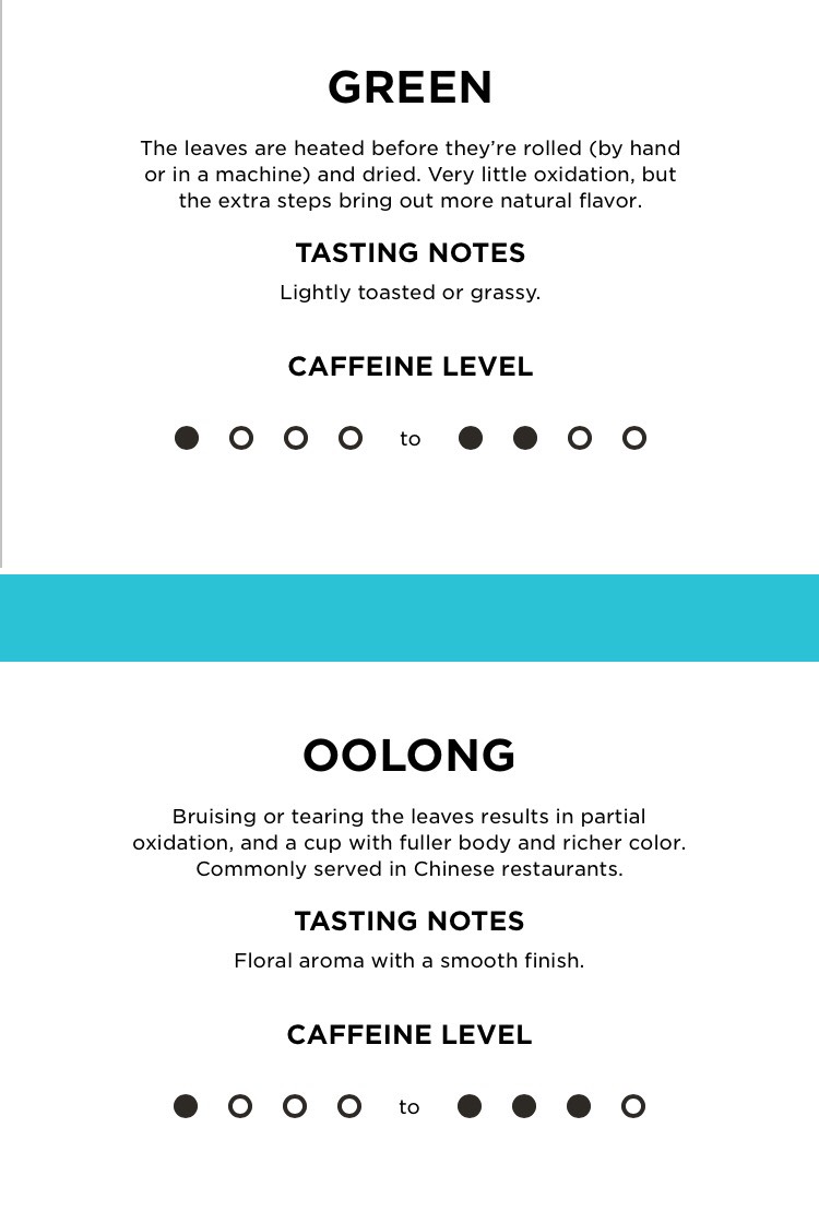 ✨Tea 101✨