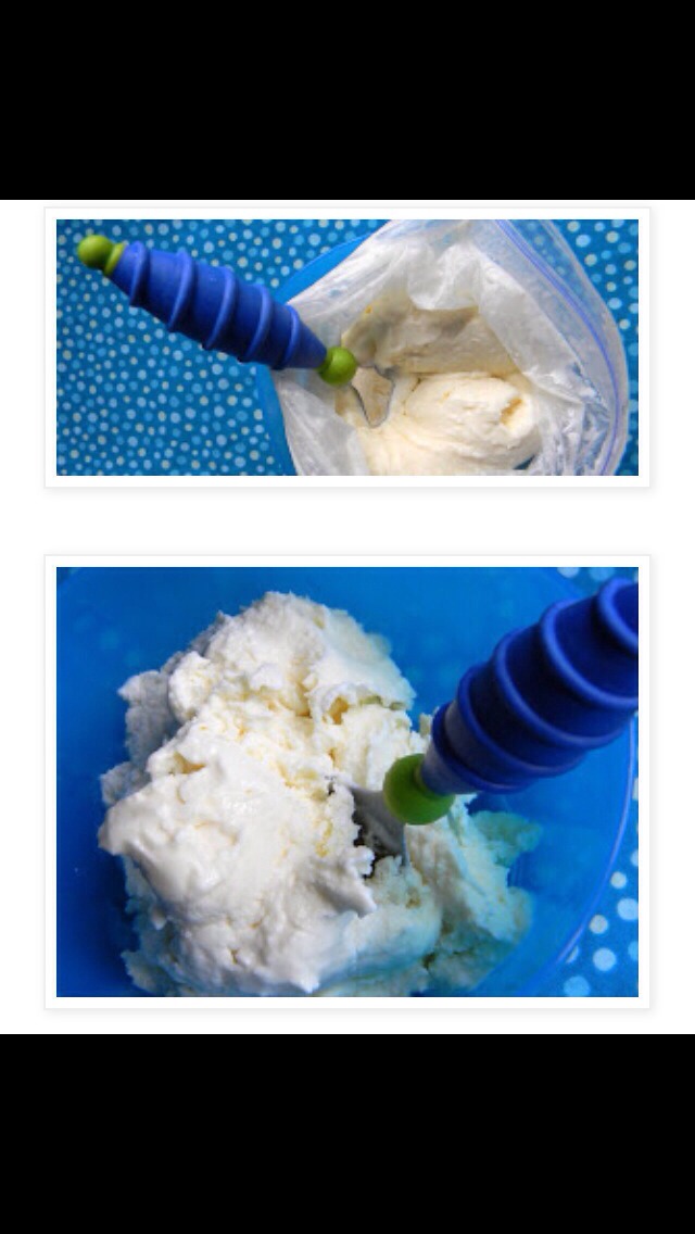Homemade Ice cream In A Bag 🍦