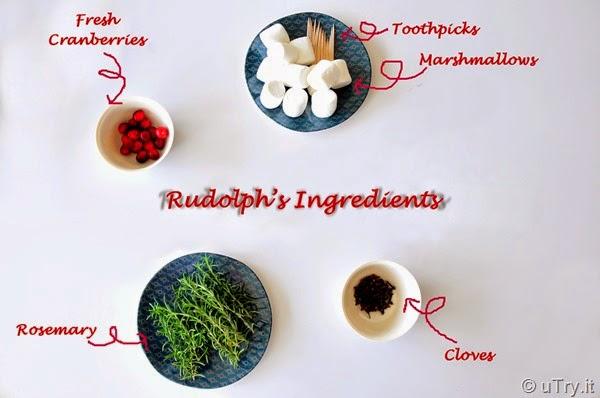 To garnish, place the remaining 4 rosemary sprigs into 2 marshmallows to create antlers. Break the toothpick in half and insert into front of the marshmallow and attach the remaining cranberries to create the noses. Then, place the 4 cloves between the noses and antlers to create eyes. Cheers! 
