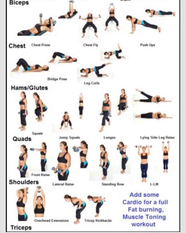 👍❤️Strength Exercises For Women❤️👍
