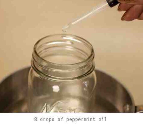 Diy Peppermint Lip Balm