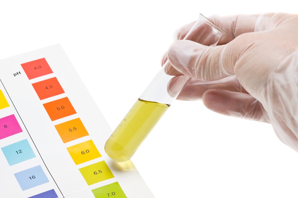 Ph Balanced

They help balance your pH level. Though acidic to the taste, lemons are alkaline-forming on the body