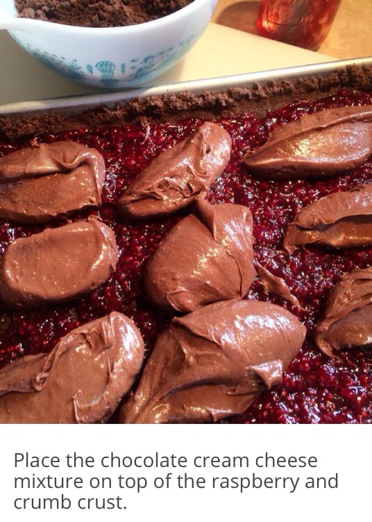 Midnight Chocolate Raspberry Cream Cheese Bars