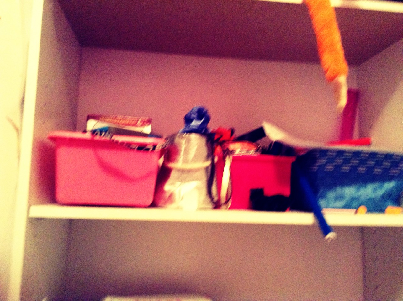 Fun bins for shelving storage 