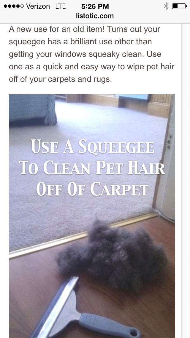 Must Read Cleaning Tips!!