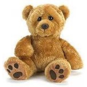 A stuffed animal
